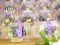25650228ประเมินวิทยฐานะเชี่ยวชาญฯ รองสุรศักดิ์ Image 12
